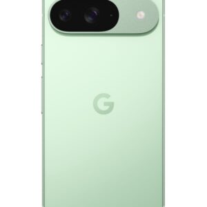 Google Pixel 9 12/128Gb Wintergreen (Global)